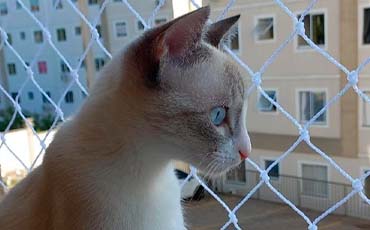 Redes De Proteção para Gatos
